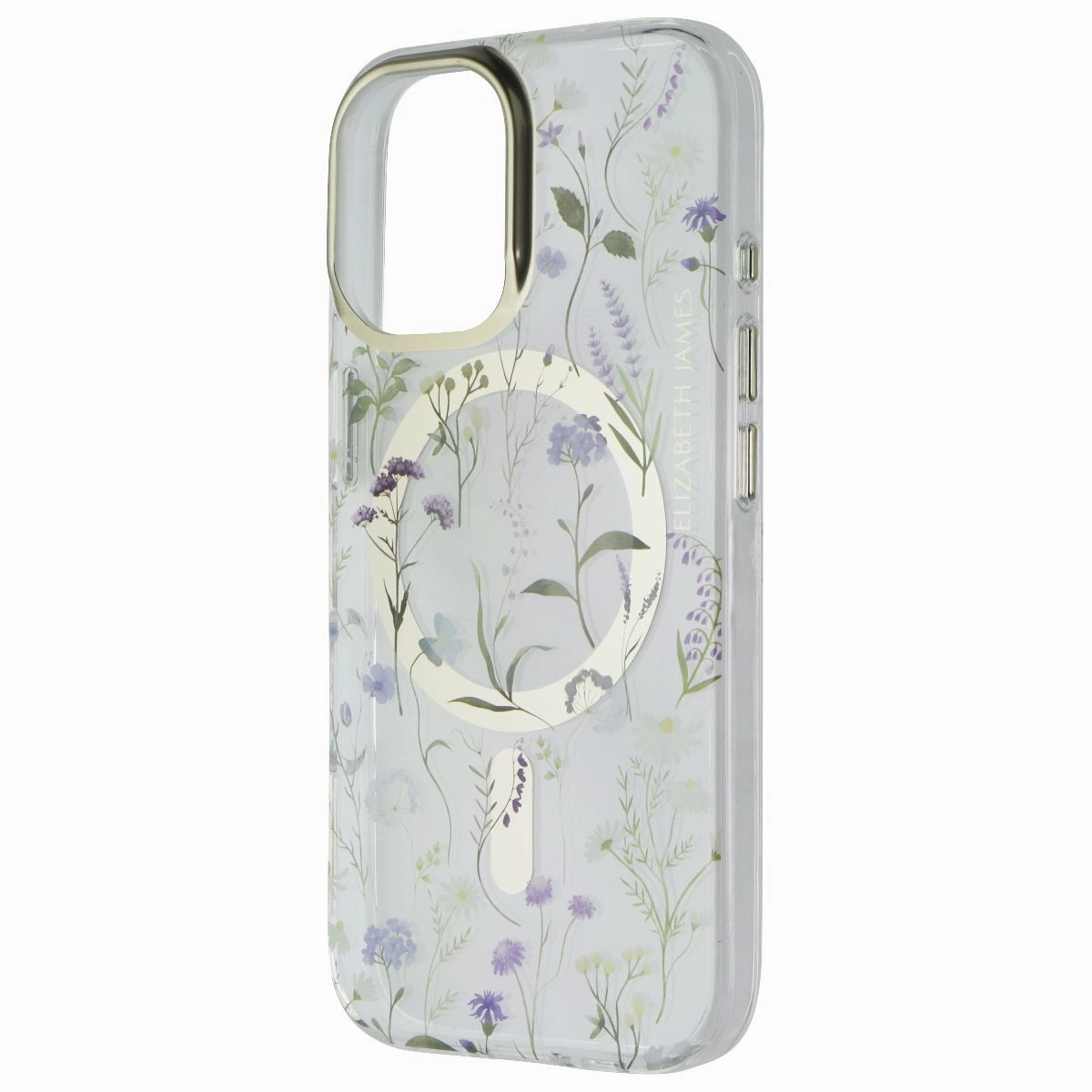 Creative Artwork Elizabeth James Case for MagSafe for Apple iPhone 16 - Afternoon in Versailles